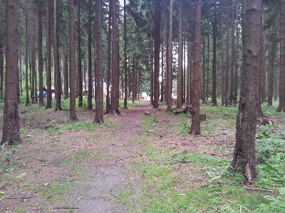 2011-08-09 11.38.01