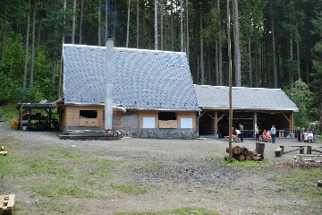 2011 (3)